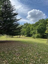 Image result for Kempsey Cc