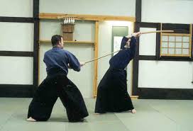 Image result for Kyoku Kenjutsu Kai