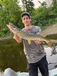 Image result for Esox masquinongy