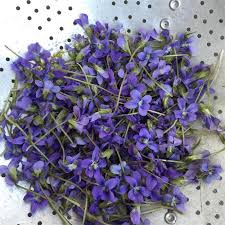 Attēlu rezultāti vaicājumam “Viola rupestris leaf”