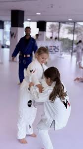 Image result for Derwent Jujitsu Academies
