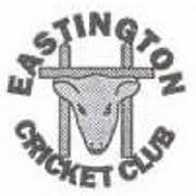 Image result for Aston Ingham Cricket Club