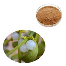 Attēlu rezultāti vaicājumam “Viscum album fruit”