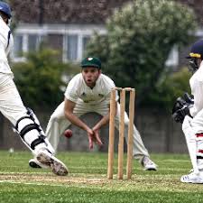 Image result for Shepherds Bush Cricket Club