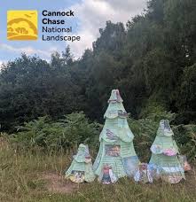 Image result for Cannock Cc