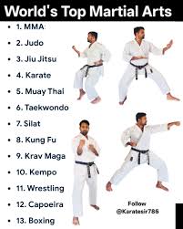 Image result for John Godwin's Hamilton Martial Arts