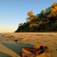 Image result for Ipswich Sc