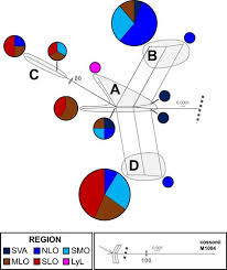 Attēlu rezultāti vaicājumam “Scorpidium revolvens”
