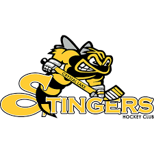 Image result for Stingers Korfball Club