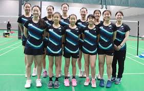 Image result for Aca Badminton Club