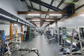 Image result for Arrow Vale Gym Club