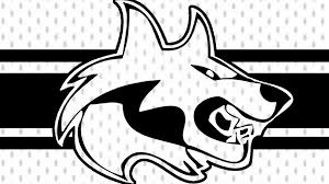 Image result for Streatham Night Wolves Ice Hockey Team