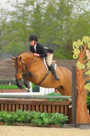 Image result for Elstead Riding Club