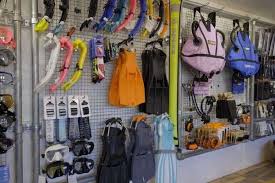 Image result for Plymouth Aquanauts