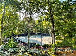 Image result for Leake Tennis Club