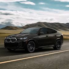 Image result for BMW X6