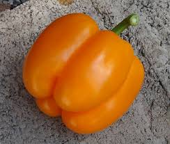 Afbeeldingsresultaat voor orange sun sweet pepper