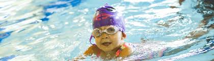 Image result for Dolphins Sheltered & Disabled Swim Club