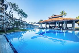 Image result for Dolphin Badminton Club