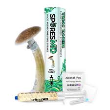 Attēlu rezultāti vaicājumam “Diderma montanum var. album spores”