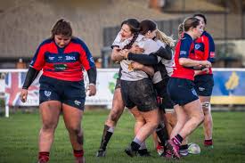 Image result for Crewe & Nantwich Rugby Union Football Club