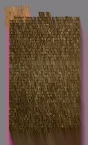 Attēlu rezultāti vaicājumam “Pistillaria sp.”