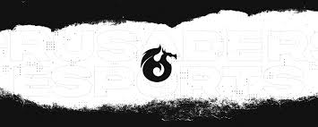 Image result for Cardiff Titans