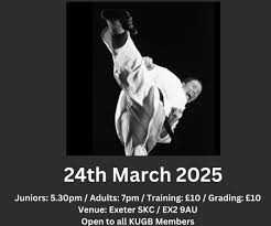 Image result for TIVERTON SHOTOKAN KARATE CLUB
