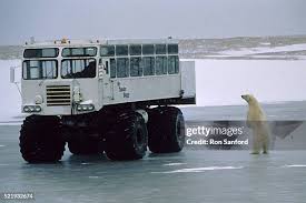 Image result for tundra buggy