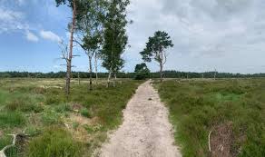 Image result for Heemtuin Rucphen