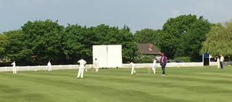 Image result for Chingford Cricket Club