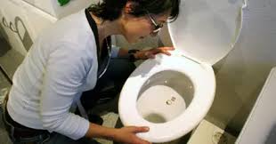 Image result for german toilet