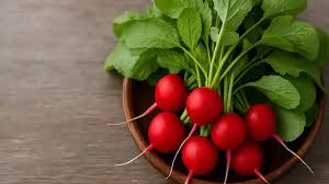 Image result for Radieschen