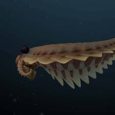 Attēlu rezultāti vaicājumam “Cribraria oregana stalked”