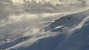 Image result for schnee