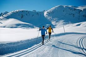 Image result for Scandinavian slope and cross country skiing
