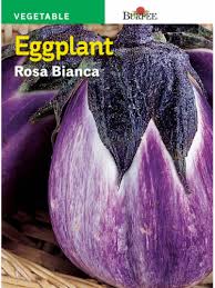 Afbeeldingsresultaat voor rosa bianca eggplant