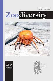 Attēlu rezultāti vaicājumam “Aranei”