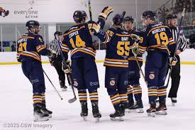 Image result for Romford Junior Ice Hockey Club