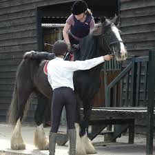 Image result for Riding For The Disabled