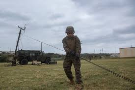 Image result for Mavet Phoenix Tactical Division