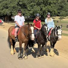 Image result for Old Park Riding Stables