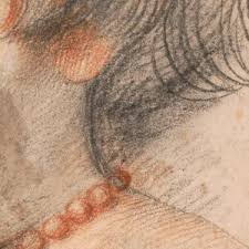 Attēlu rezultāti vaicājumam “Collaria rubens”