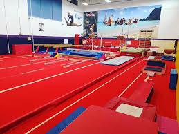 Image result for Arabian School Of Gymnastics