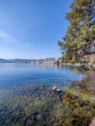 Image result for "Parco Ciani"