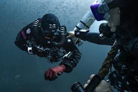 Image result for innerspace divers