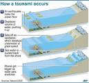 Unique Japan tsunami footage boon to scientists