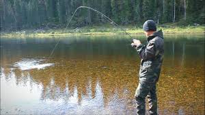 Image result for рыбалка