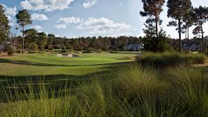 Image result for St James casuals cricket club