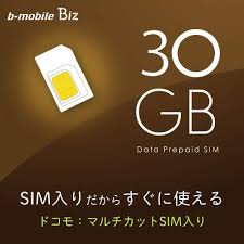 Image result for b-mobile sim